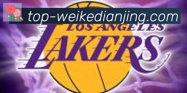 vkgame威客电竞合作伙伴